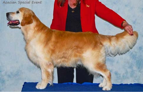 Acacian Special Event