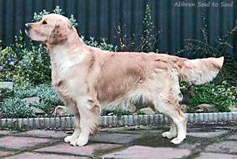 Alibren Soul to Soul