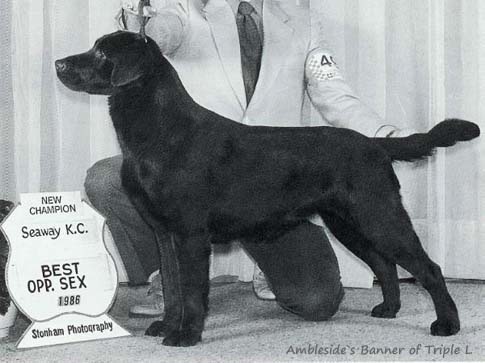 Ambleside's Banner Of Triple L