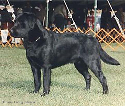 Balrion Living Legend