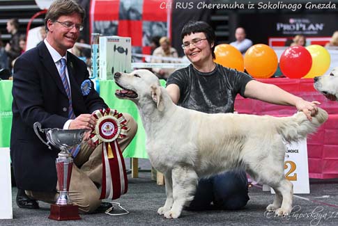 Cheremuha iz Sokolinogo Gnezda