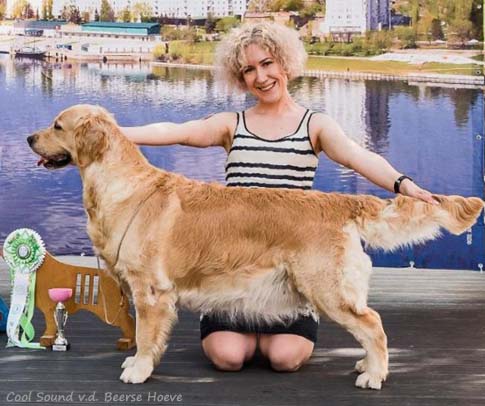 Cool Sound v.d. Beerse Hoeve