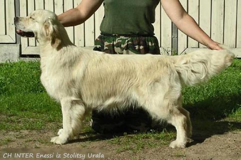 Enessi iz Stolitsy Urala 