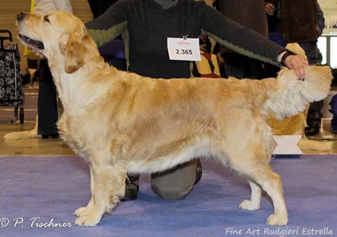 Fine Art Rudgieri Estrella