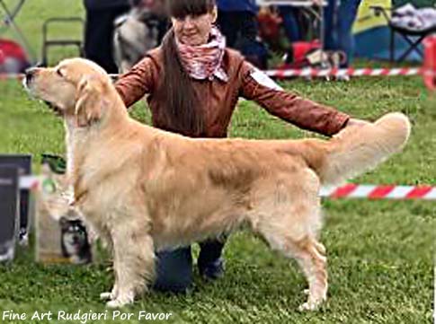 Fine Art Rudgieri Por Favor