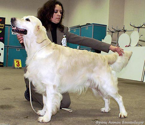 Frants Anton Bekkenbauer