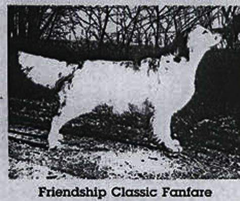 Friendship Classic Fanfare 