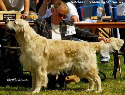 Gatchells Freedom By Stormerick