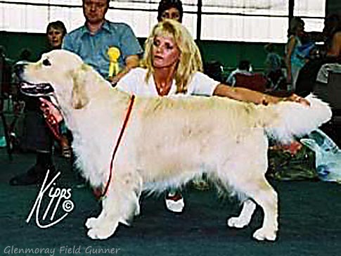 Glenmoray Field Gunner