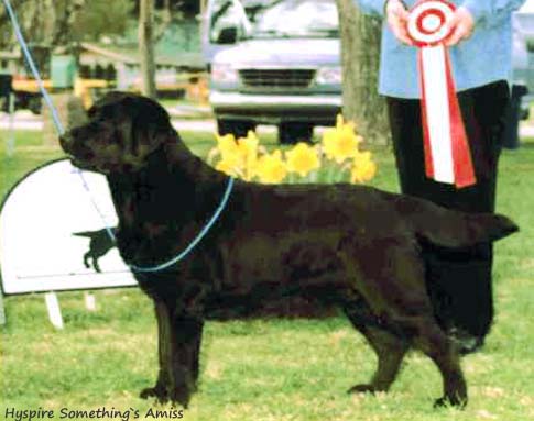 Hyspire Something`s Amiss