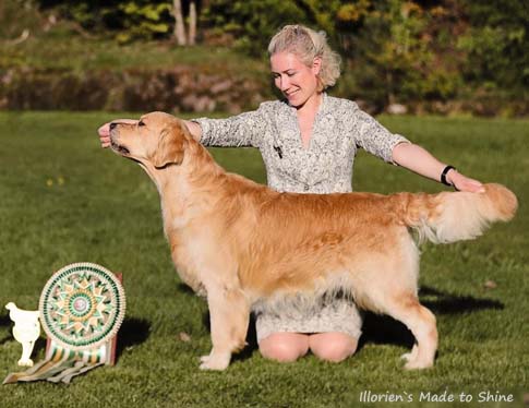 Illoriens Made to Shine