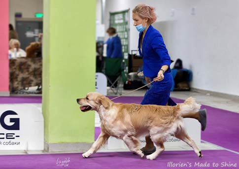 Illoriens Made to Shine