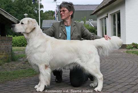 Kozzmozz v.d. Beerse Hoeve