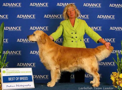 Larbellah Team Leader