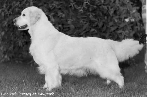  Linchael Conspiracy Of Chevanne