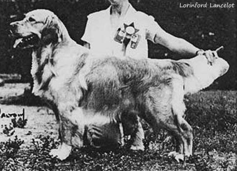 Lorinford Thunderstorm Of Purbarn