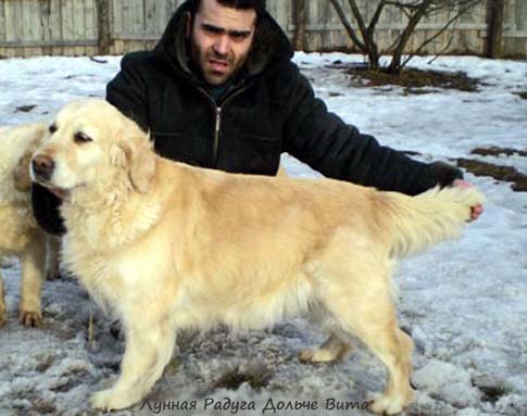 Lunnaja Raduga Dolce Vita