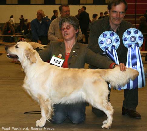 Pixel Panic v.d. Beerse Hoeve