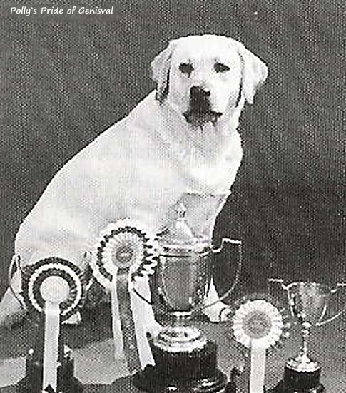 Pollys Pride of Genisval