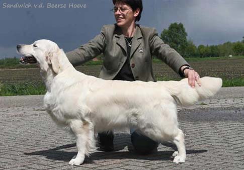 Sandwich v.d. Beerse Hoeve