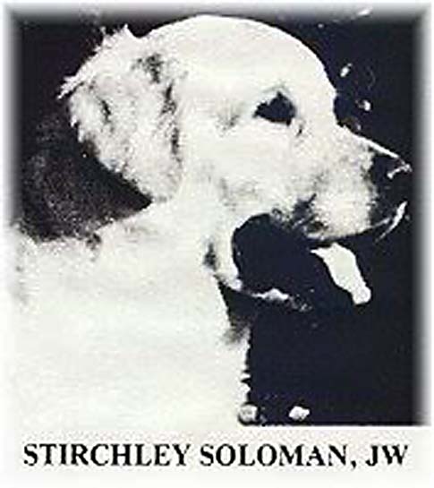 Stirchley Soloman