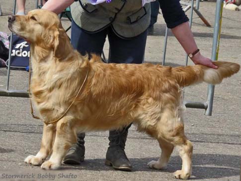 Stormerick Bobby Shafto