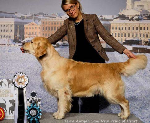 Terra Antyda Sani New Princ Of Heart