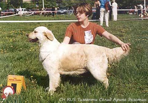 Timanti Solid Arina Exotic