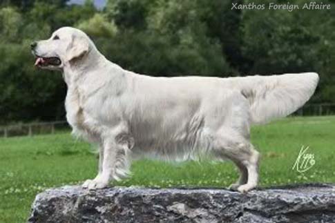 Xanthos Foreign Affaire