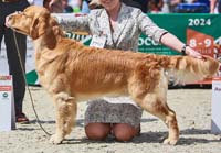 Kalita di Trui Dassin Joy