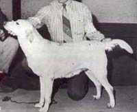 фото Franklin's Tally Of Burywood