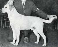 фото Lockerbie Lowna Neptune