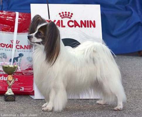 Lamonia`s Don Juan