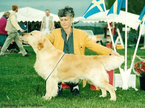 Stenbury Sea Chieftain